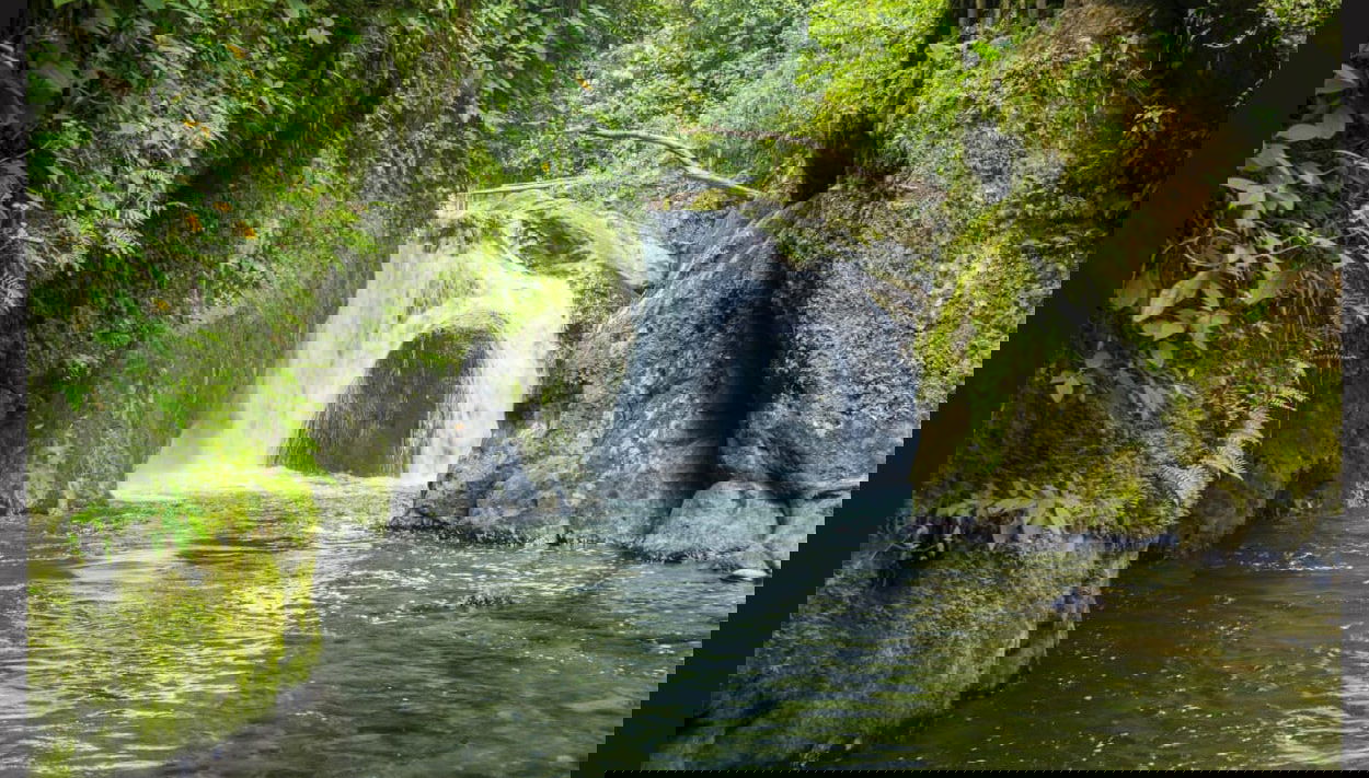 Tour de 2 días por Misahuallí - Foto 1