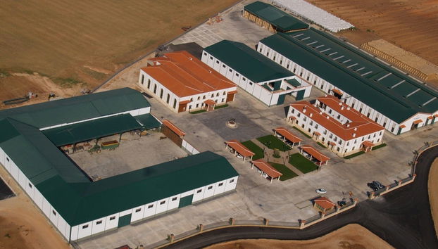 Visita alla tenuta Pago de La Jaraba - Foto 4