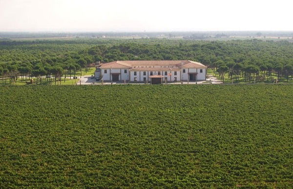 Pago de La Jaraba Estate Tour - Photo 4