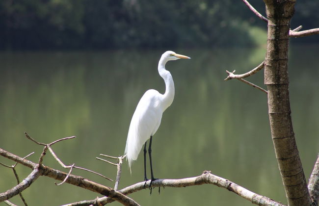 Lake Duluti Hiking Route - Photo 2