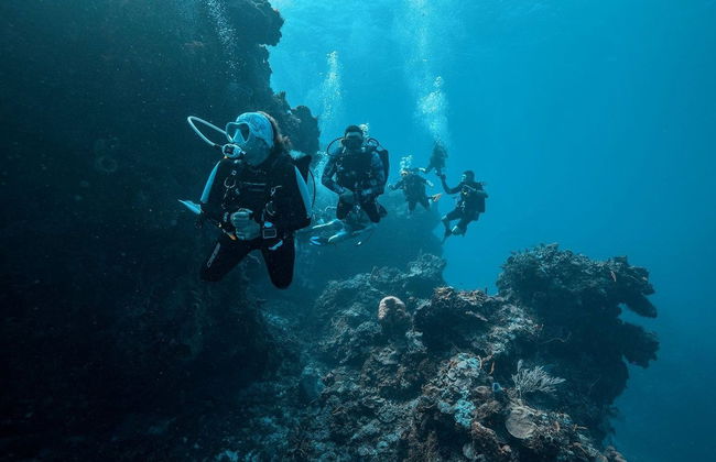 Buceo nocturno en Cozumel - Foto 3