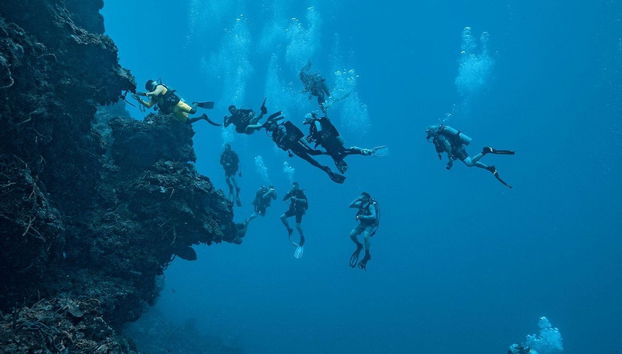 Buceo nocturno en Cozumel - Foto 4
