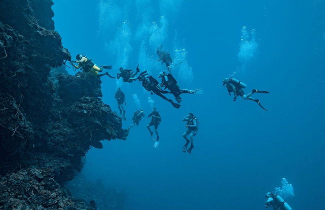 Buceo nocturno en Cozumel - Foto 4