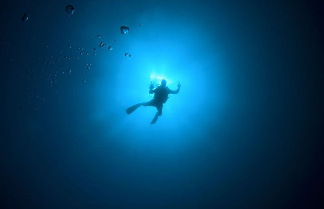 Buceo nocturno en Cozumel - Foto 1