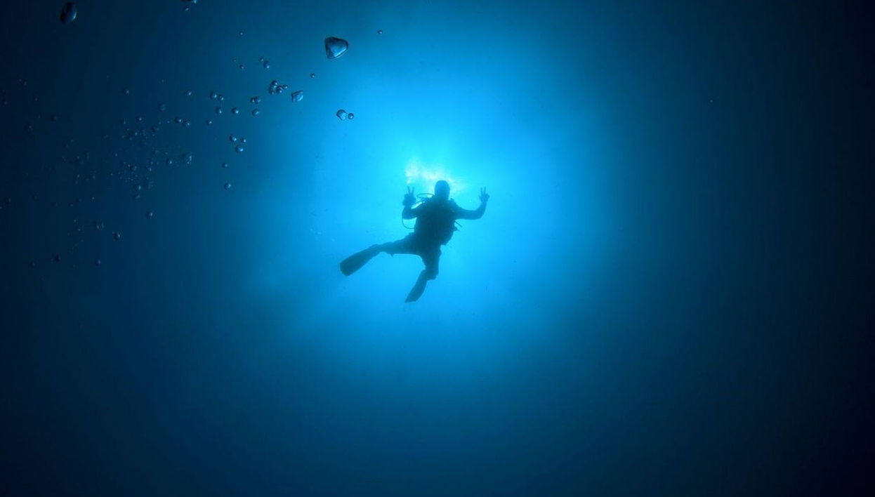 Buceo nocturno en Cozumel - Foto 1