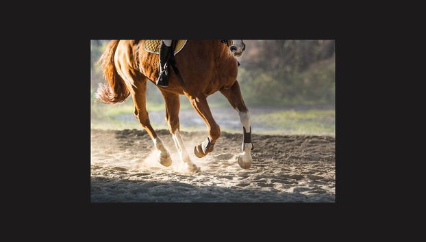 Passeio a cavalo por Paros - Foto 2