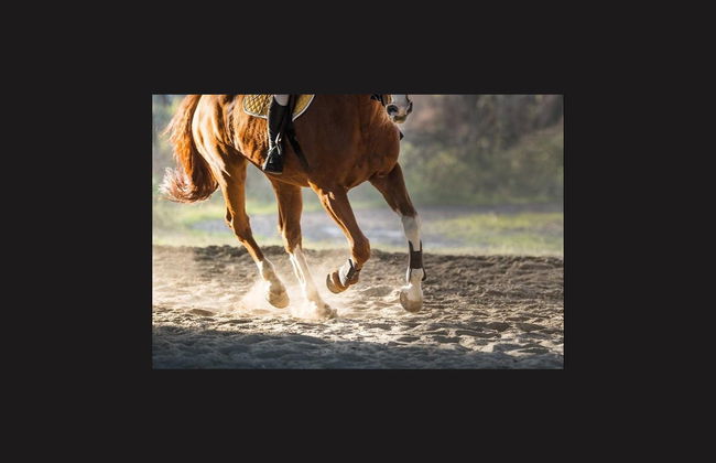 Balade à cheval à Paros - Photo 2