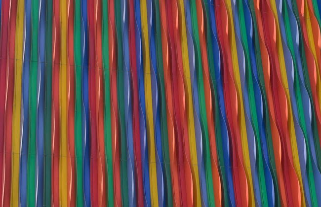 Free tour di Barranquilla - Foto 3