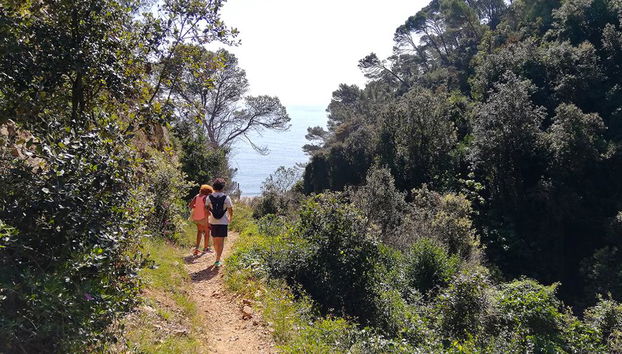 Escursione sulla Costa Brava - Tour di mezza giornata - Foto 2