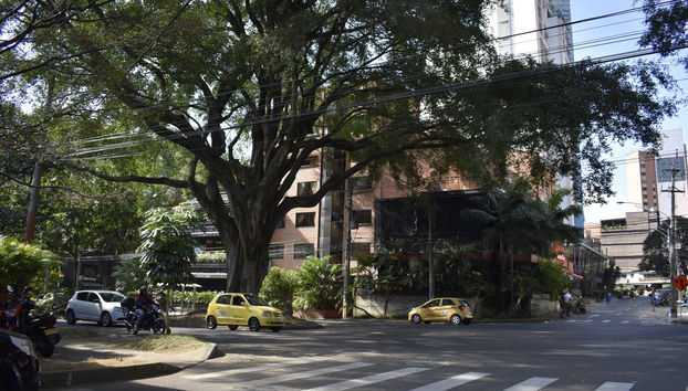 Explorez les rues pittoresques du quartier de Los Laureles