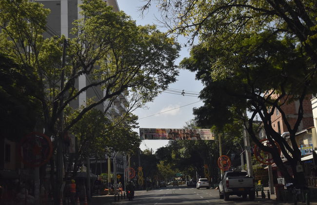 Free tour por Los Laureles - Foto 6