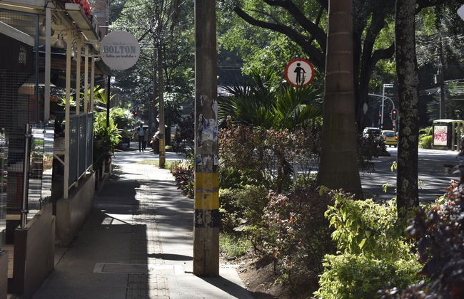 Free tour por Los Laureles - Foto 3