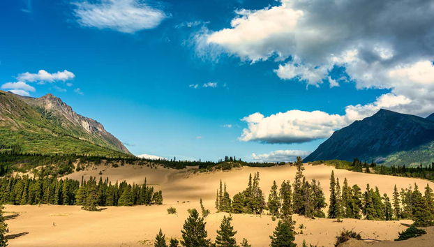 Emerald Lake + Carcross Desert Excursion - Foto 2