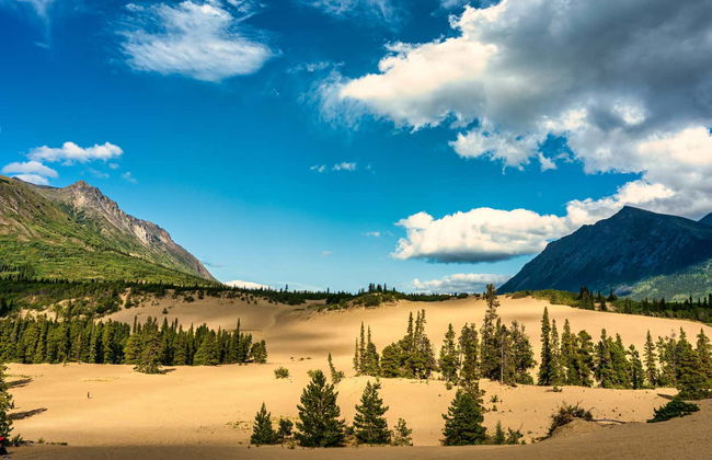 Emerald Lake + Carcross Desert Excursion - Photo 2