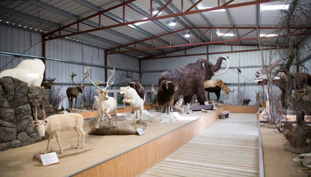 Emerald Lake + Carcross Desert Excursion - Foto 5