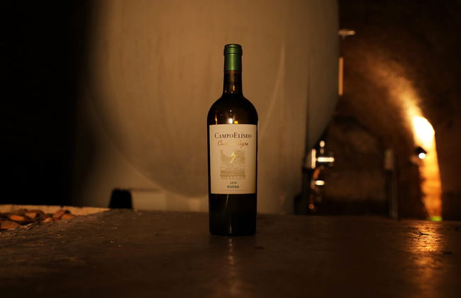 Visita a las Bodegas Campo Elíseo - Foto 2