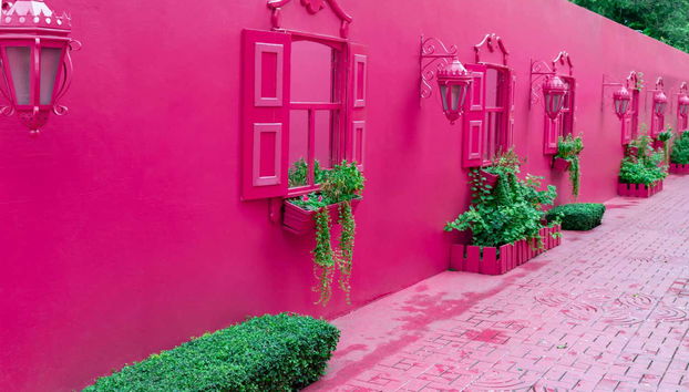 Tour de bicicleta por Puerto Plata - Foto 4