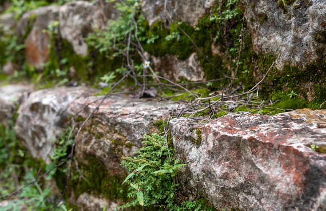 Excursión de 2 días a las Cascadas Las Golondrinas y Bonampak + Rafting - Foto 3