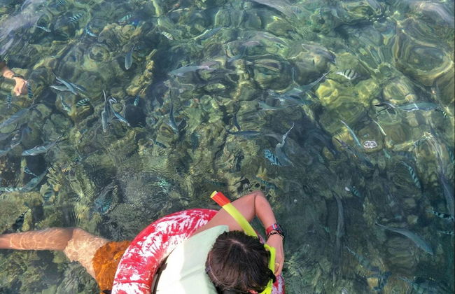 Snorkel y kayak en las islas de Koh Samui - Foto 3