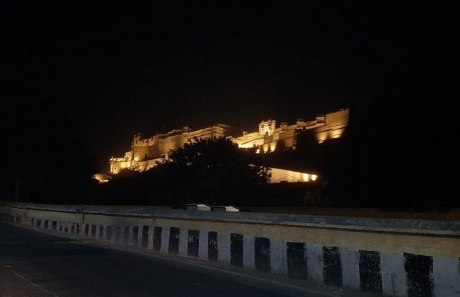 Tour nocturno privado por Jaipur - Foto 3