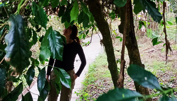 Visite du centre écoculturel de Palma de Cera