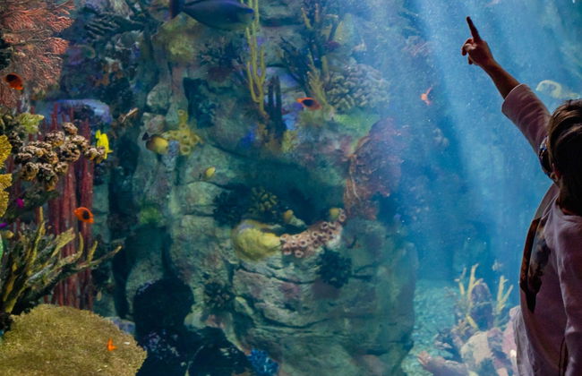 San Diego CityPASS® - Photo 8