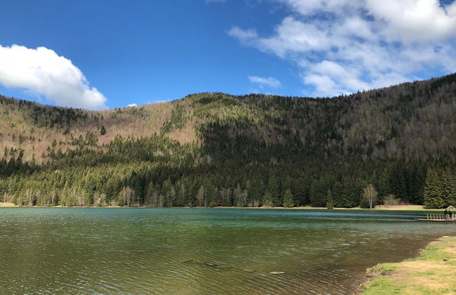 Excursión al lago Santa Ana - Foto 3