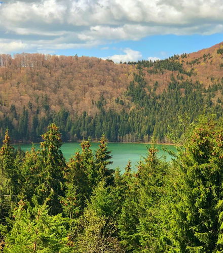 Foto de Excursión al lago Santa Ana