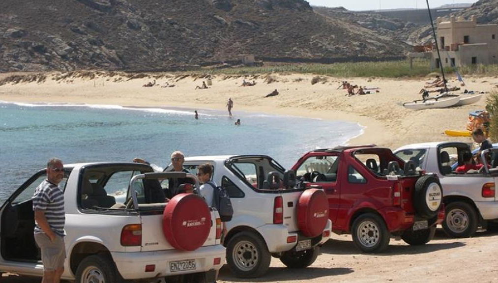Off Road Safari - Private Island Tour - Photo 1