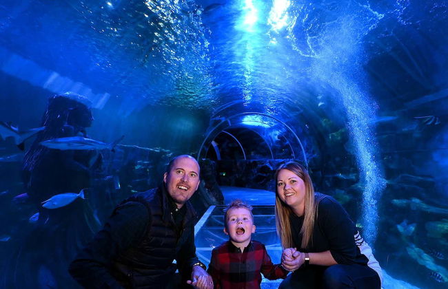 Billet pour SEA LIFE® Birmingham - Photo 5