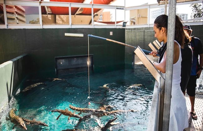 Entradas de admisión general a Crocosaurus Cove - Foto 4