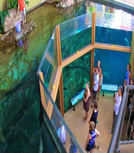 Foto de Entradas de admisión general a Crocosaurus Cove