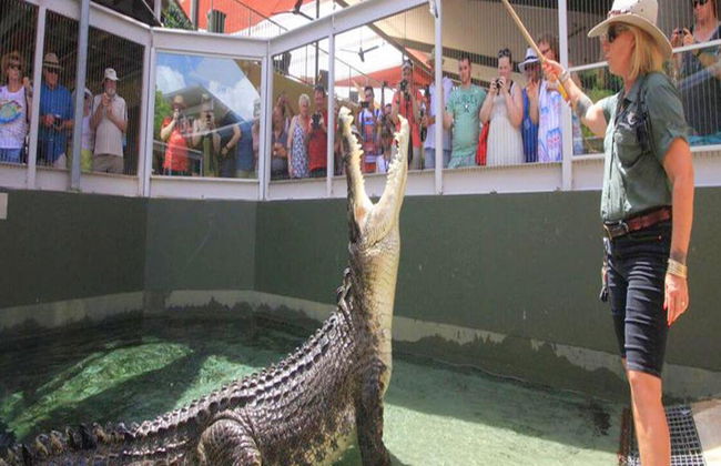 Entradas de admisión general a Crocosaurus Cove - Foto 2