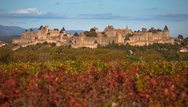 Private day tour : Cité de Carcassonne & the Lastours Castles.From Toulouse - Foto 3