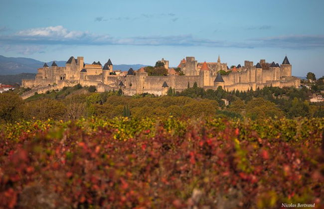 Private day tour : Cité de Carcassonne & the Lastours Castles.From Toulouse - Photo 3