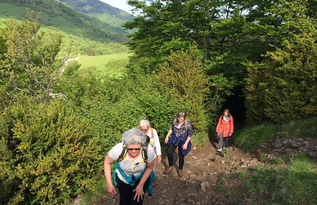 Day Tour to Mirepoix, Montségur, Camon. Private tour from Carcassonne - Photo 10