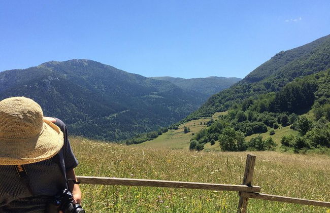 Excursión de un día a Mirepoix, Montségur, Camon. Tour privado desde Carcasona - Foto 17