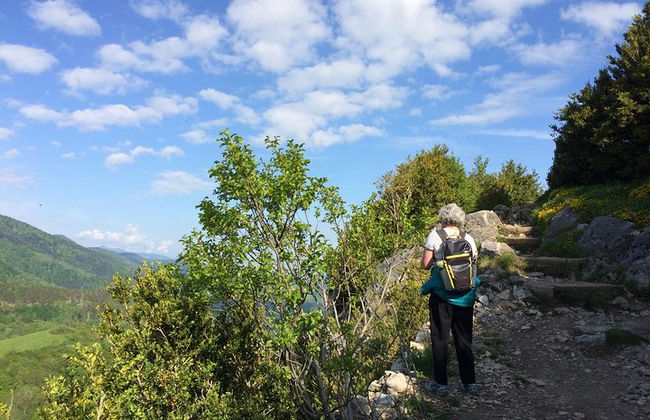 Excursión de un día a Mirepoix, Montségur, Camon. Tour privado desde Carcasona - Foto 8