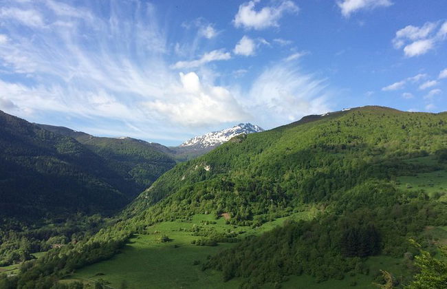 Day Tour to Mirepoix, Montségur, Camon. Private tour from Carcassonne - Photo 6
