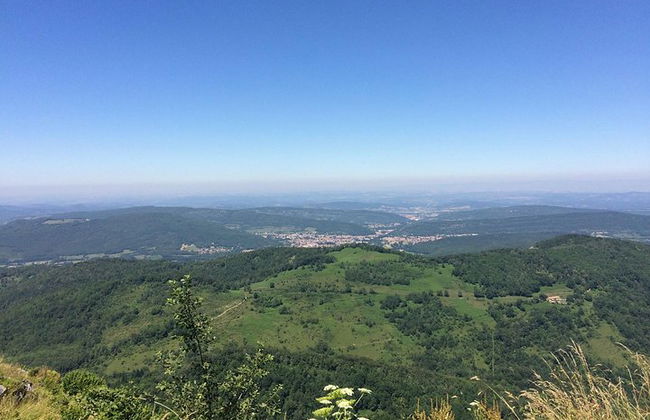Day Tour to Mirepoix, Montségur, Camon. Private tour from Carcassonne - Photo 15
