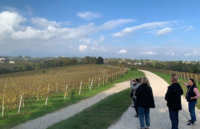 Premium Private Prosecco Hills Tour - 2 bodegas. Tour privado. - Foto 26