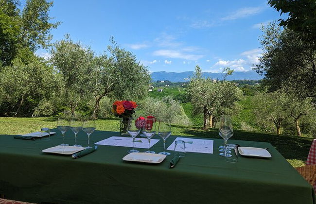 Premium Private Prosecco Hills Tour - 2 bodegas. Tour privado. - Foto 19