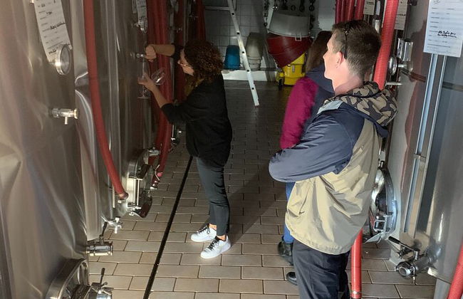 Premium Private Prosecco Hills Tour - 2 bodegas. Tour privado. - Foto 25