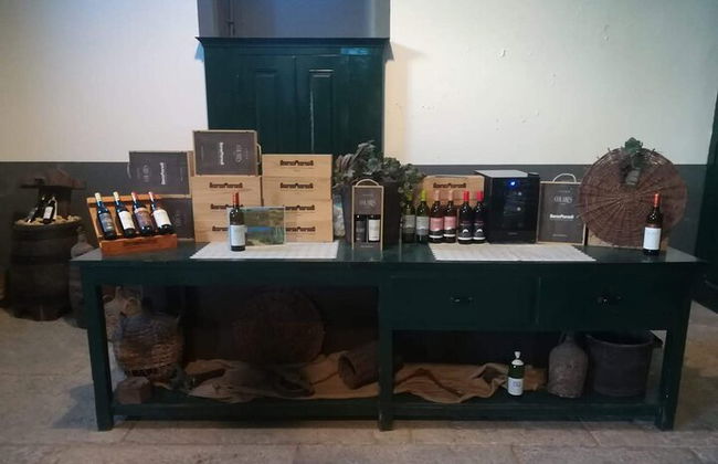 Tour privado Sintra con catas de vino - Foto 11