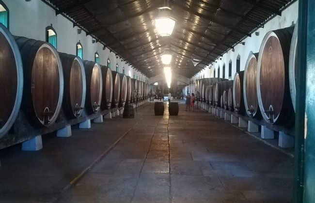 Tour privado Sintra con catas de vino - Foto 9