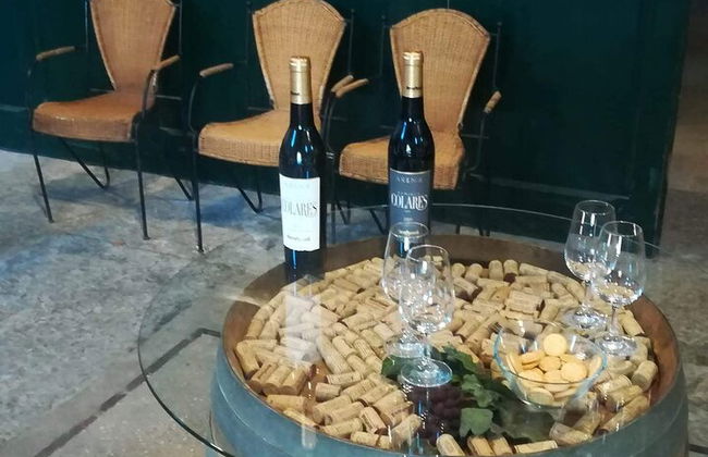 Tour privado Sintra con catas de vino - Foto 10
