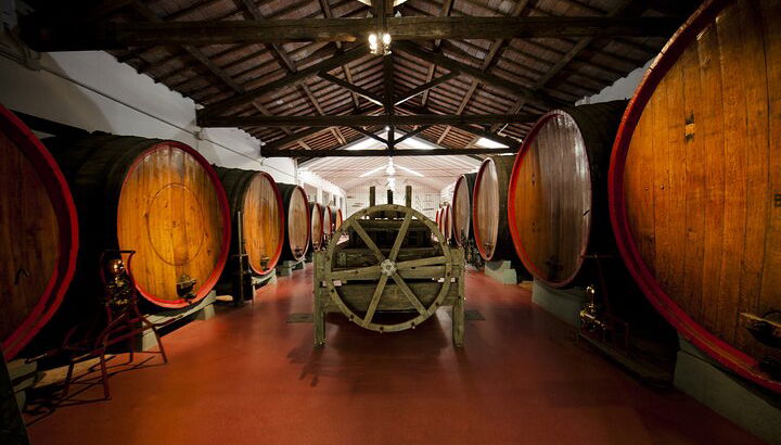 Degustación de vino Lambrusco y visita a la bodega en Módena. - Foto 1