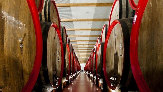 Degustación de vino Lambrusco y visita a la bodega en Módena. - Foto 2