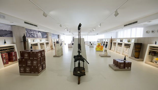 Degustación de vino Lambrusco y visita a la bodega en Módena. - Foto 5