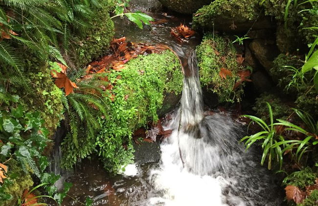 Bestseller - Excursión de un día a SINTRA - Todo Incluido - Foto 15